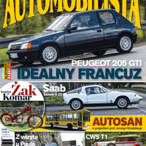 Automobilista 7/2015 (183)