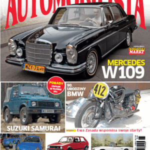 Automobilista 4/2014 (168)