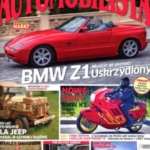 Automobilista 9/2013 (161)