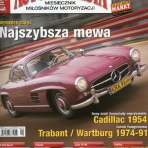 Automobilista 11/2009 (115)