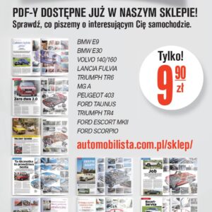 PDF Porady (1 pdf-5.90zł)