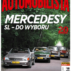 Automobilista 9/2019 (233)